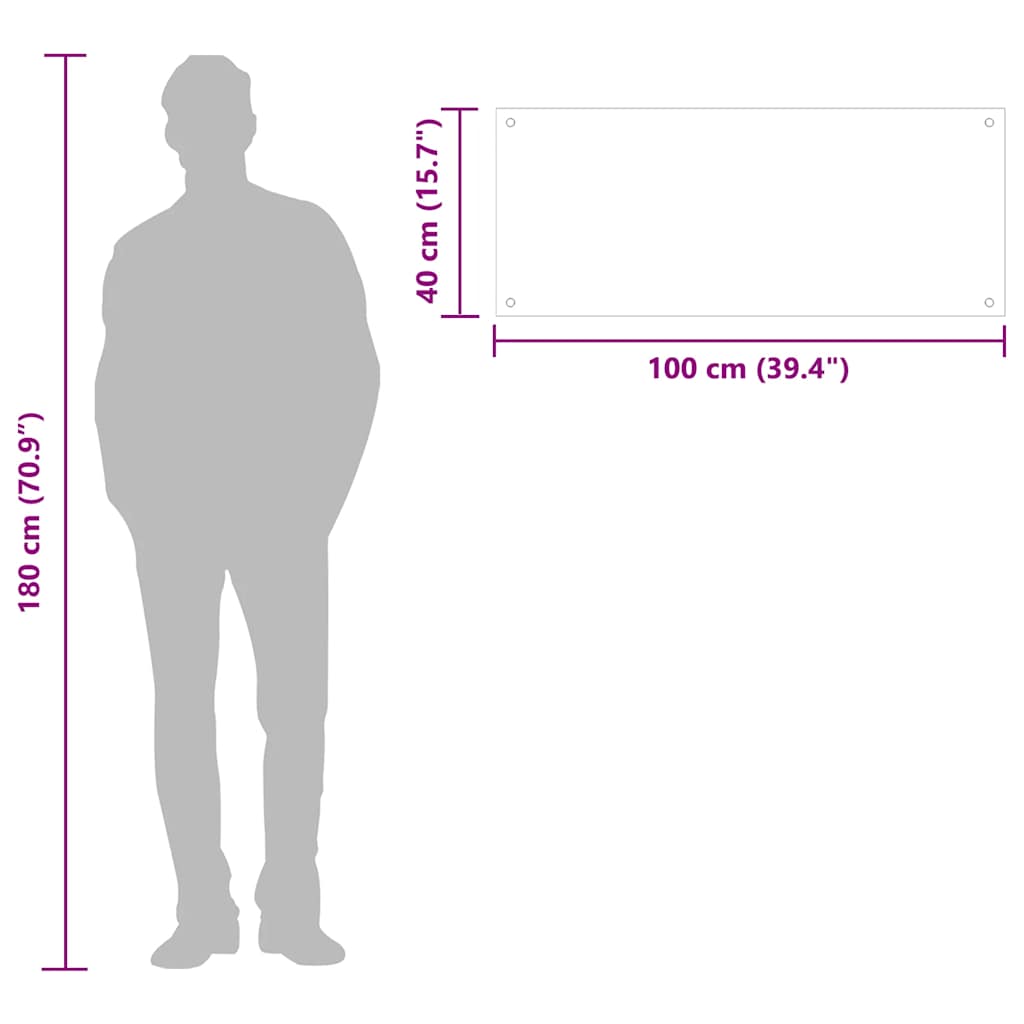 vidaXL Kitchen Backsplash Transparent 100 x 40 cm Tempered Glass