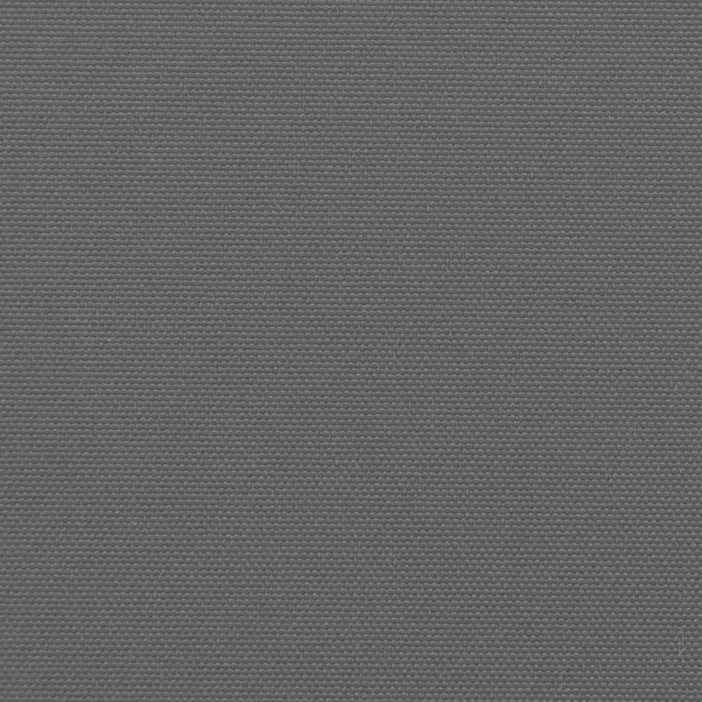 vidaXL Retractable Side Awning Anthracite 100x300 cm