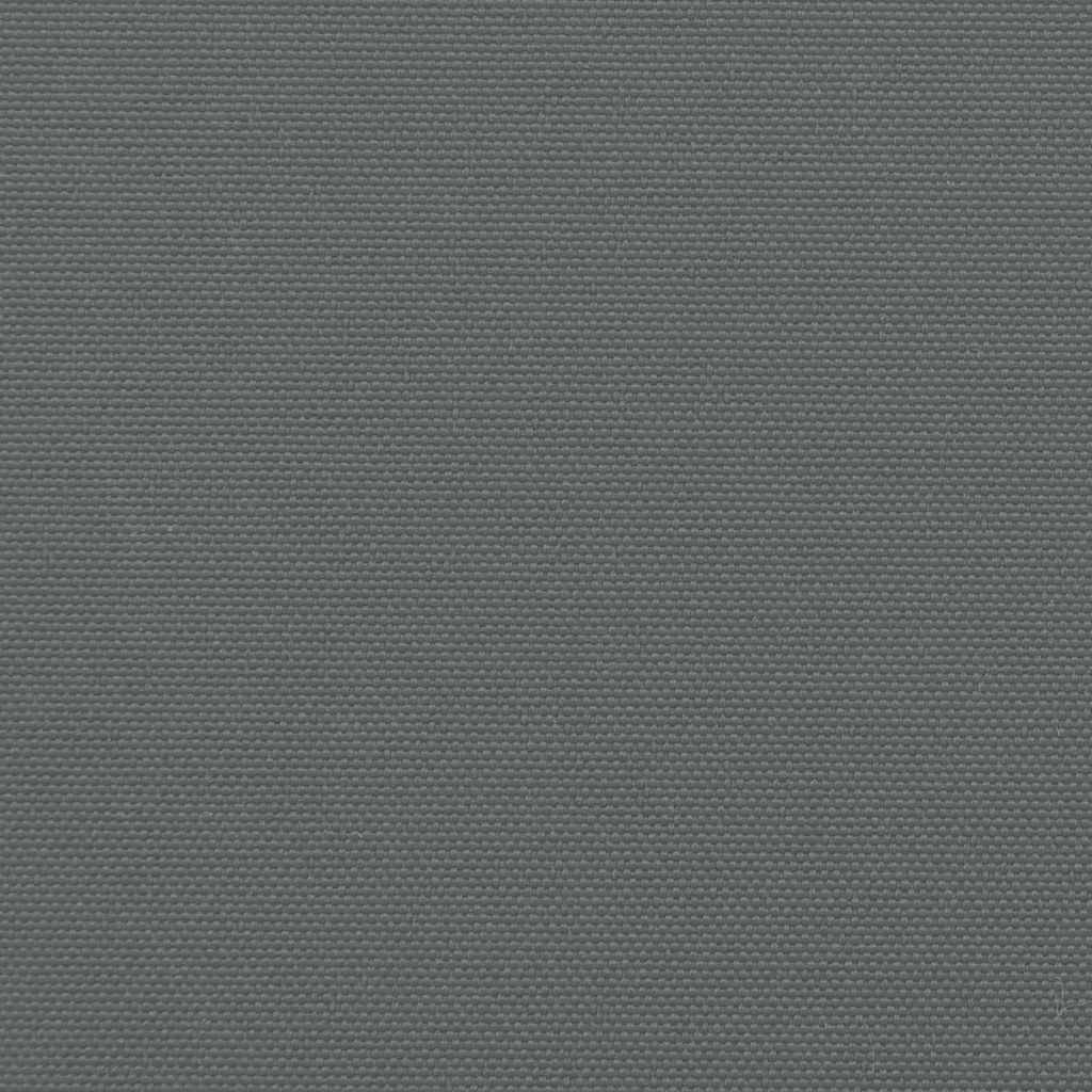 vidaXL Retractable Side Awning Anthracite 220x300 cm