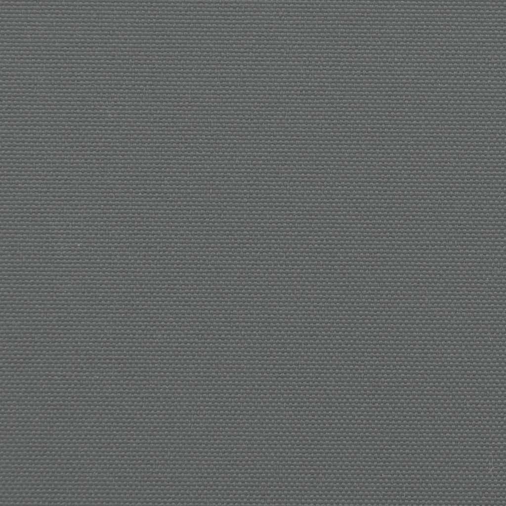 vidaXL Retractable Side Awning Anthracite 200x500 cm